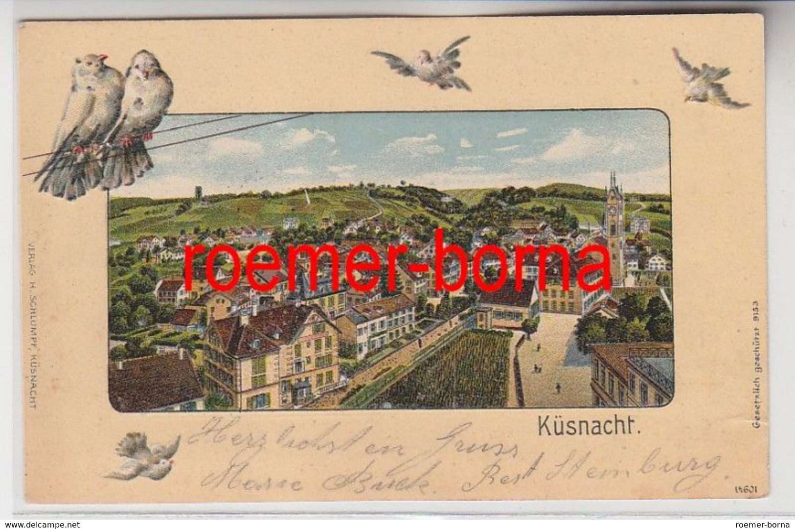 75052 Tauben Präge Ak Küsnacht Totalansicht 1906 - Küsnacht