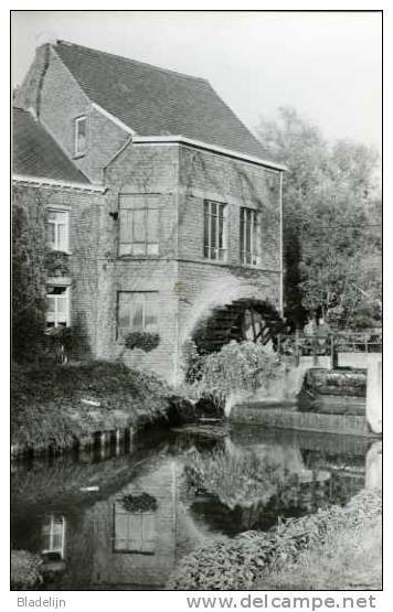TOLLEMBEEK Bij Galmaarden (Vlaams-Brabant) - Molen/moulin - Heetveldemolen Op De Marke (1995) - Galmaarden