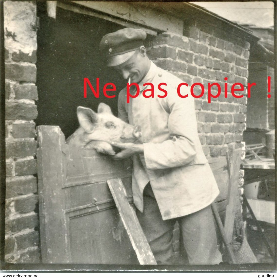 7 PHOTOS ALLEMANDES - SOLDATS CHIEN ET COCHON A VOYENNE PRES DE CRECY SUR SERRE - MARLE AISNE - GUERRE 1914 1918 - 1914-18