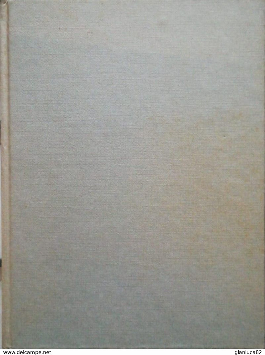 Il Libro Degli Esperimenti Scientifici Di Judith Ann 1980 Ed. Longanesi Euroclub Come Da Foto Ricco Di Illustrazioni - Matematica E Fisica