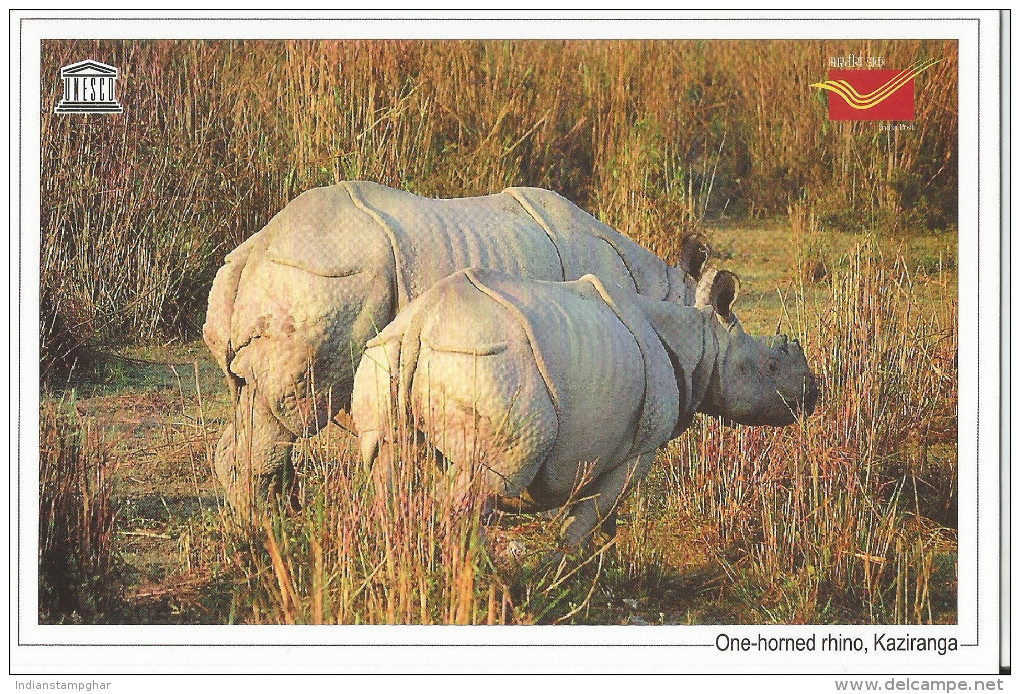 UNESCO World Heritage Site ,One Horned Rhino, Kaziranga National Park,  India Post - Rhinoceros