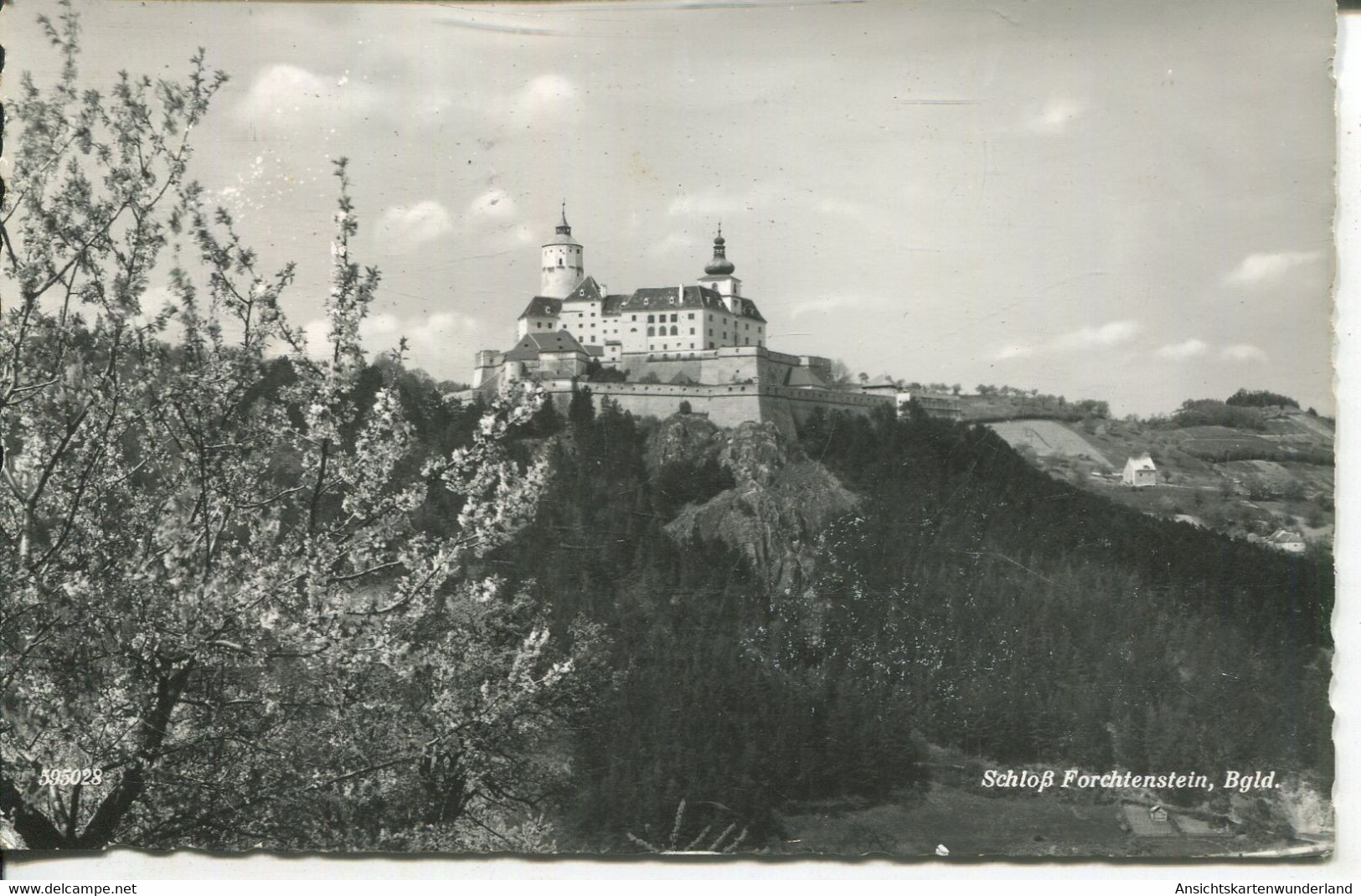 010680  Schloss Forchtenstein - Forchenstein