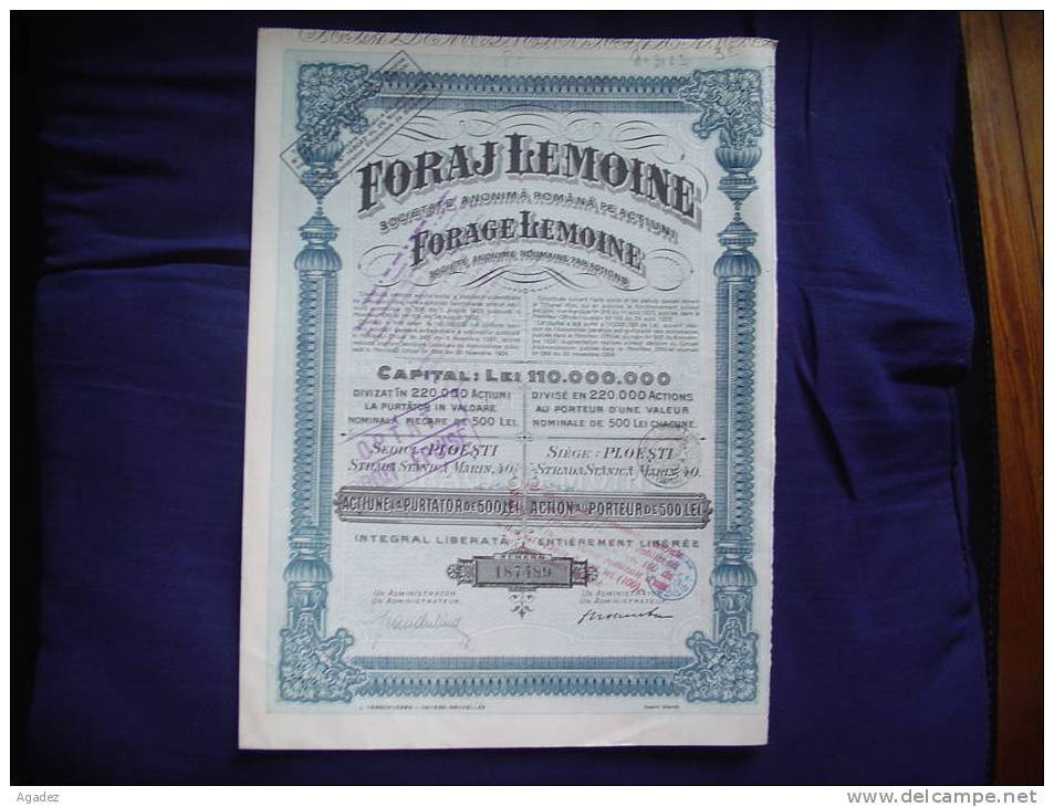 Action Au Porteur De 500 Lei Foraj Lemoine S.A.Romana Forage Lemoine  S.A. Roumaine Par Actions(petrole) 1924 - Pétrole