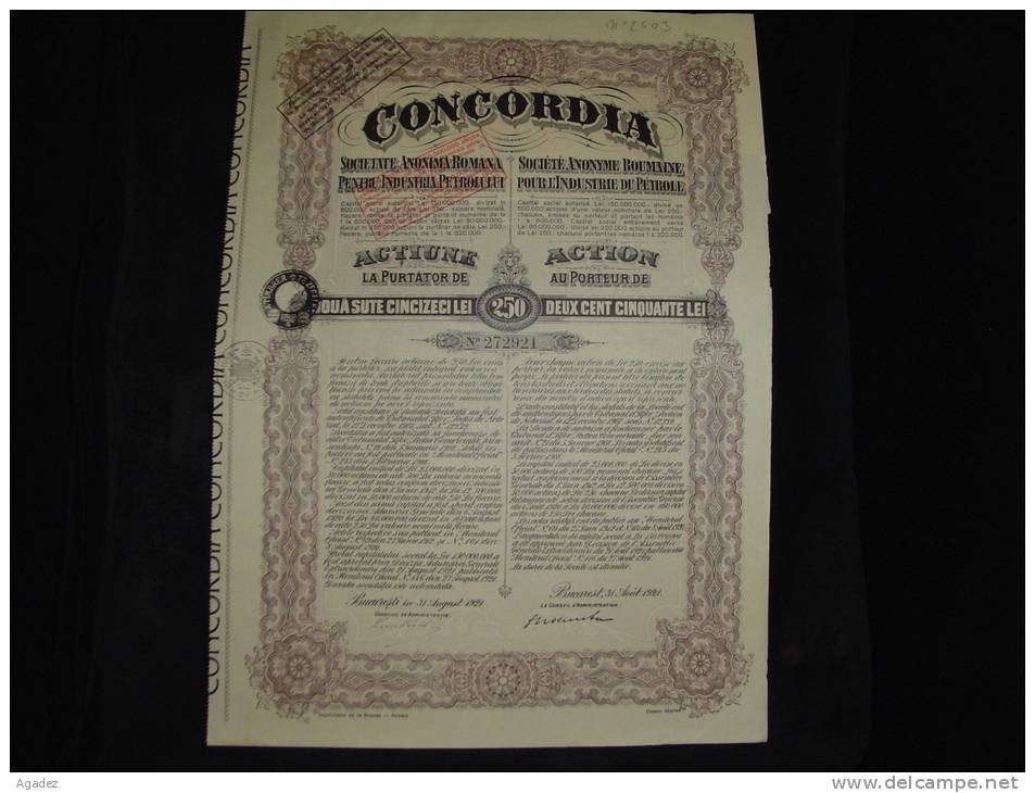 Action Actiune "Concordia"S.A.Roumaine Pour L'industrie Du Petrole S.A.Romana Pentru Industria Petrolului 1921. - Petróleo
