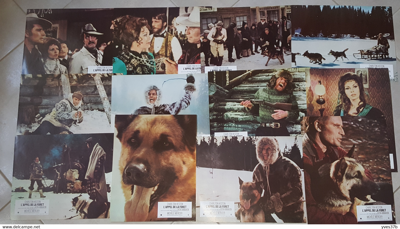 "L'Appel De La Forêt" Charlton Heston...(1972) Pochette Complète 12 Photos 23x30 NEUVES - Photos