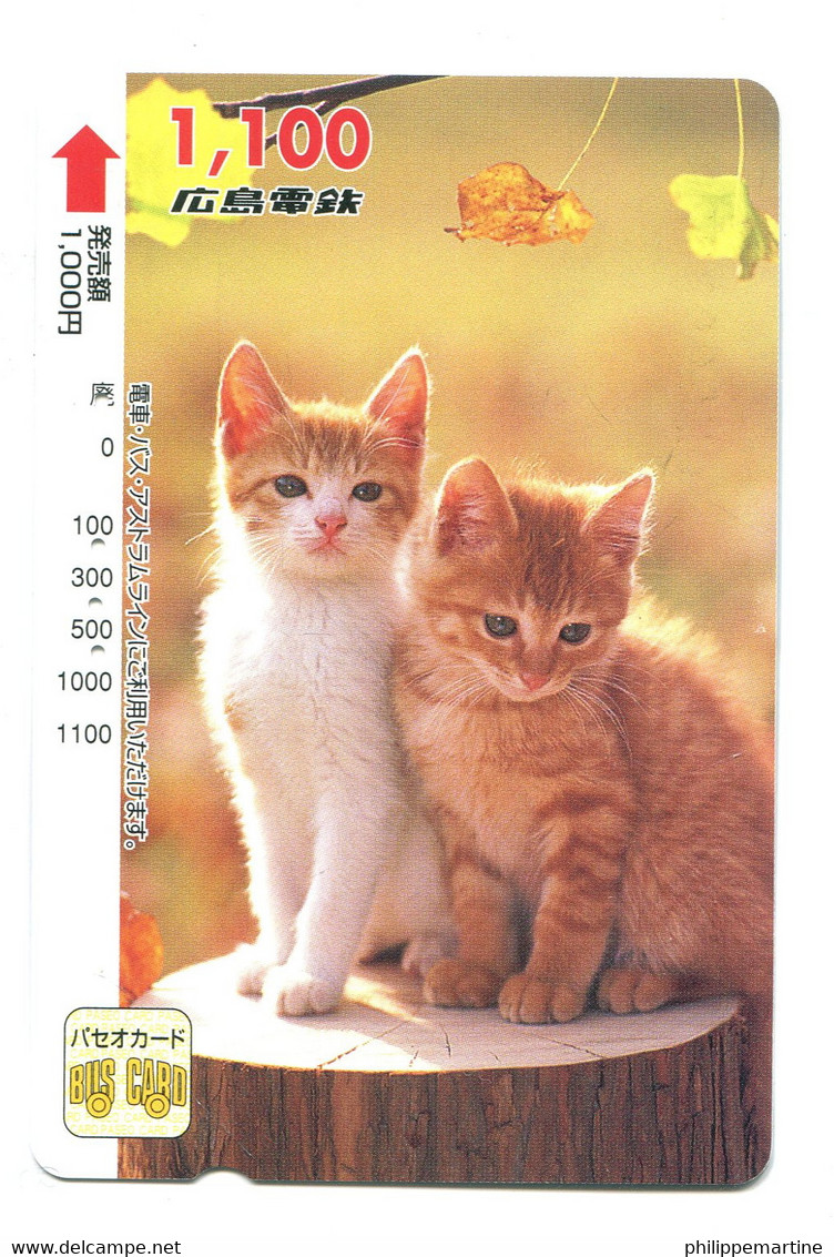 Titre De Transport Bus Card (Japon) : Chats - World