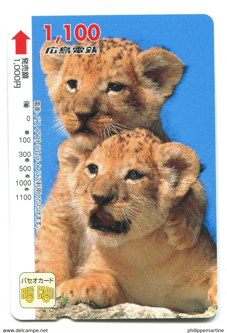 Titre De Transport Bus Card (Japon) : Lions - Wereld