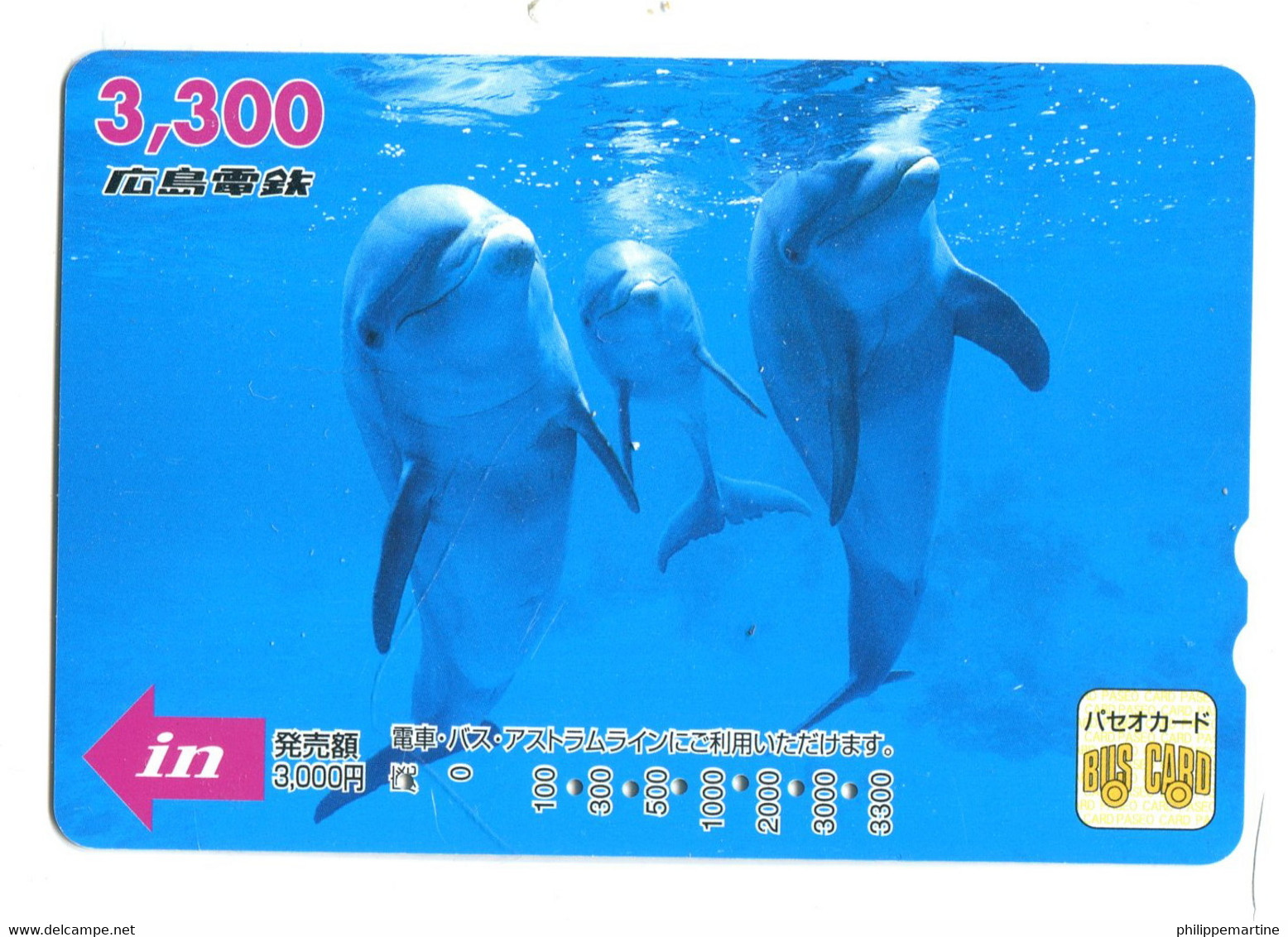 Titre De Transport Bus Card (Japon) : Dauphins - World