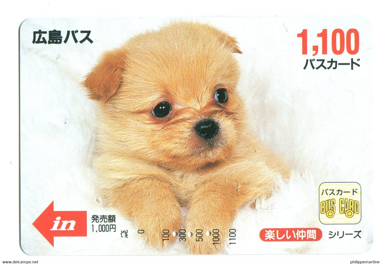 Titre De Transport Bus Card (Japon) : Chien - World