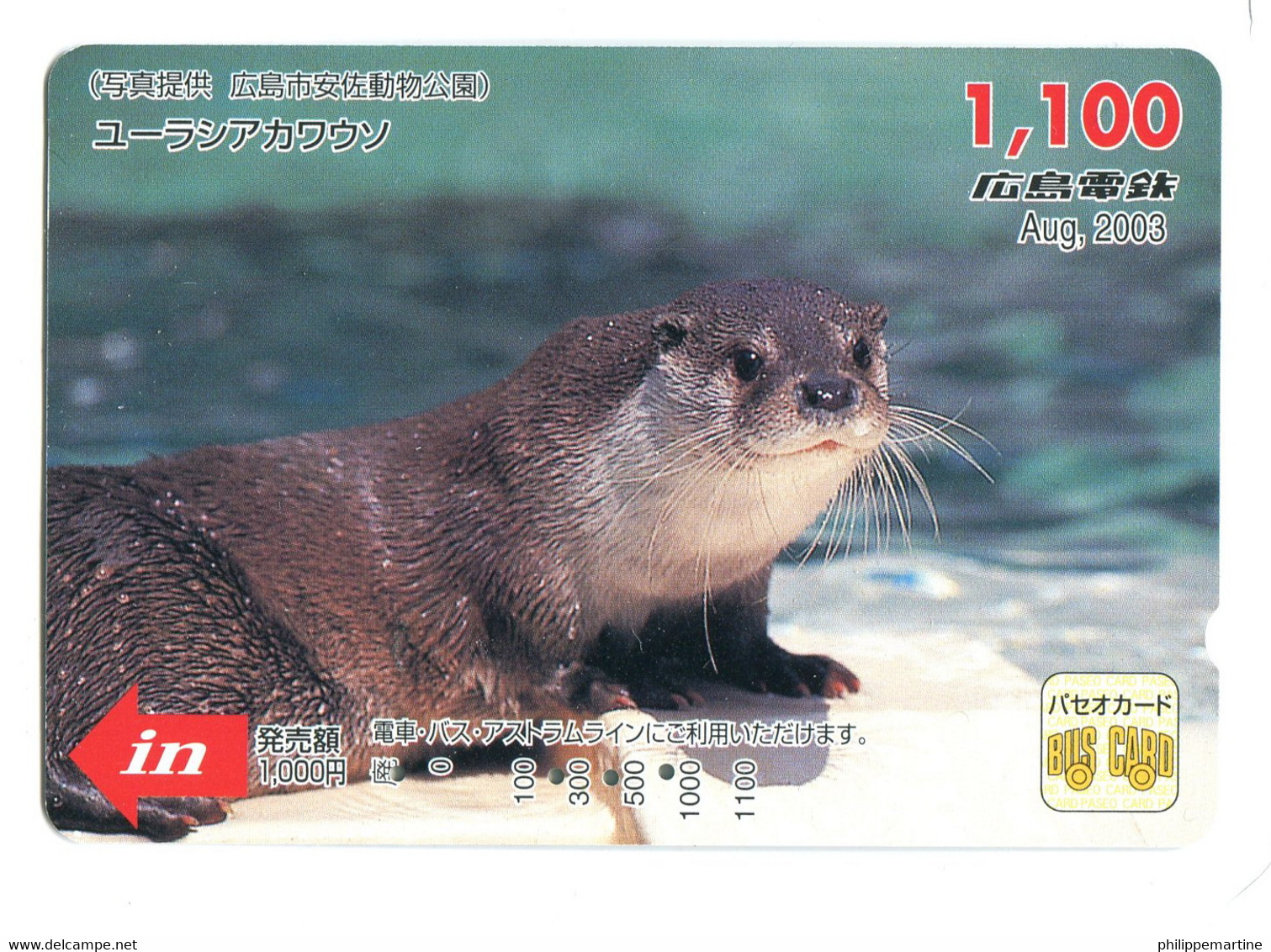 Titre De Transport Bus Card (Japon) : Loutre (??) - Welt