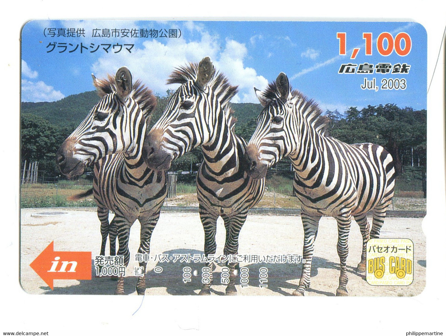 Titre De Transport Bus Card (Japon) : Zèbres - Wereld