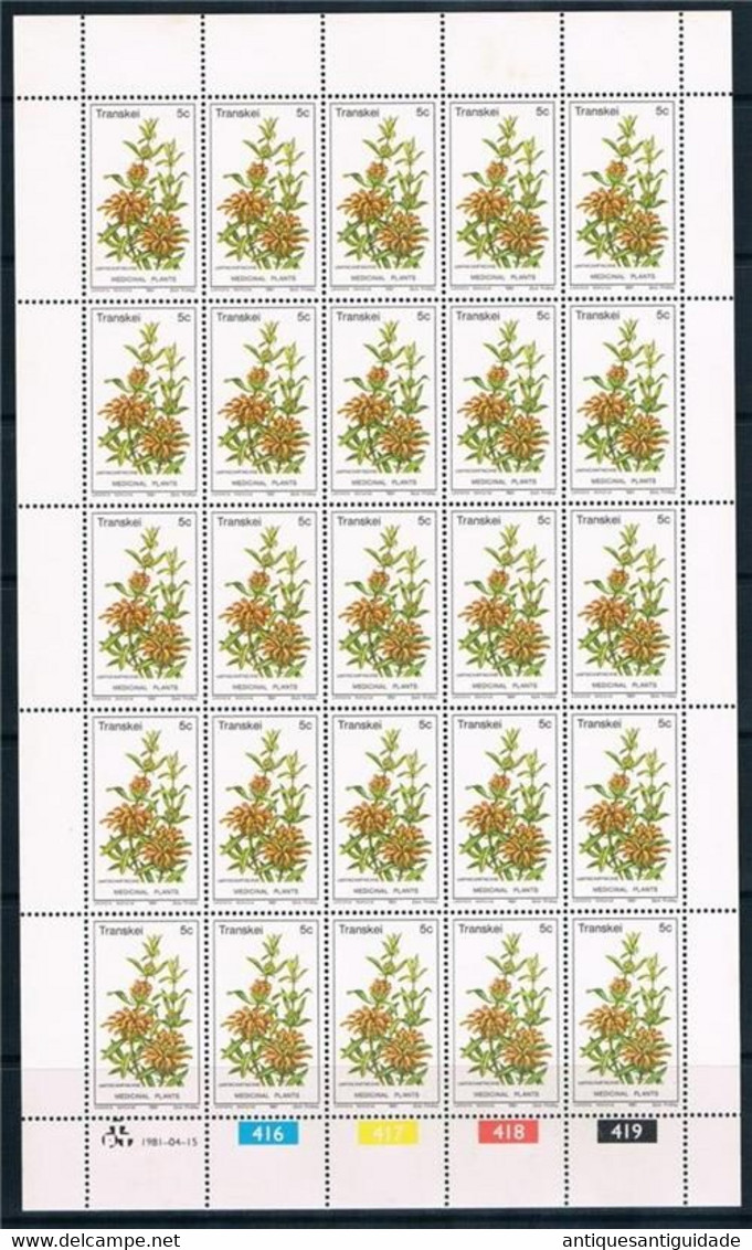 Transkei 1981 Plants/Nature UMFINCAMFINCANE Sheet Of  25 MNH 5C MEDICINE PLANTS  MNH - Heilpflanzen