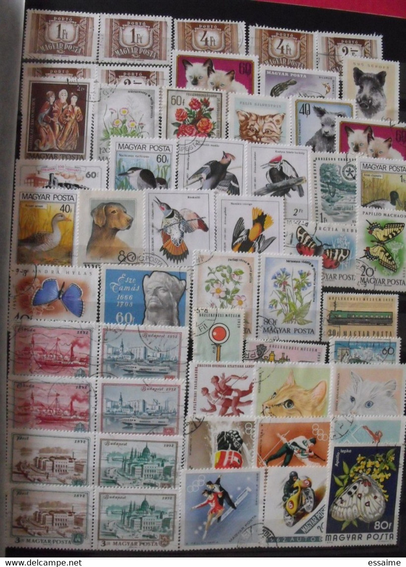 Hongrie Magyar. Collection De 460 Timbres Oblitérés (quelques Neufs) - Sammlungen