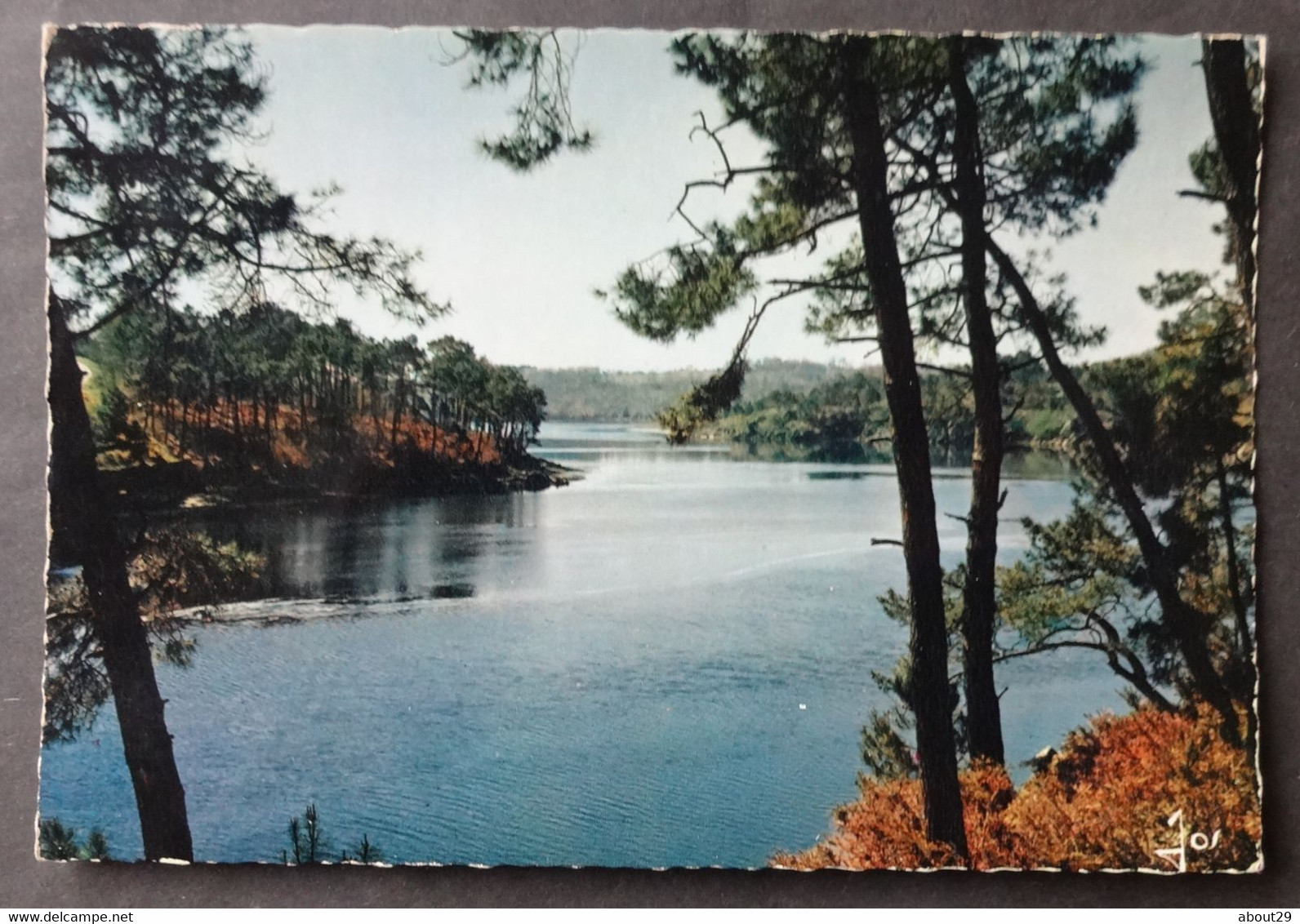 CPM 29 LA LAITA à Marée Haute Près Du Pont Saint Maurice ( CLOHARS CARNOET ) - Ed. JOS - Réf. E 200 - Clohars-Carnoët