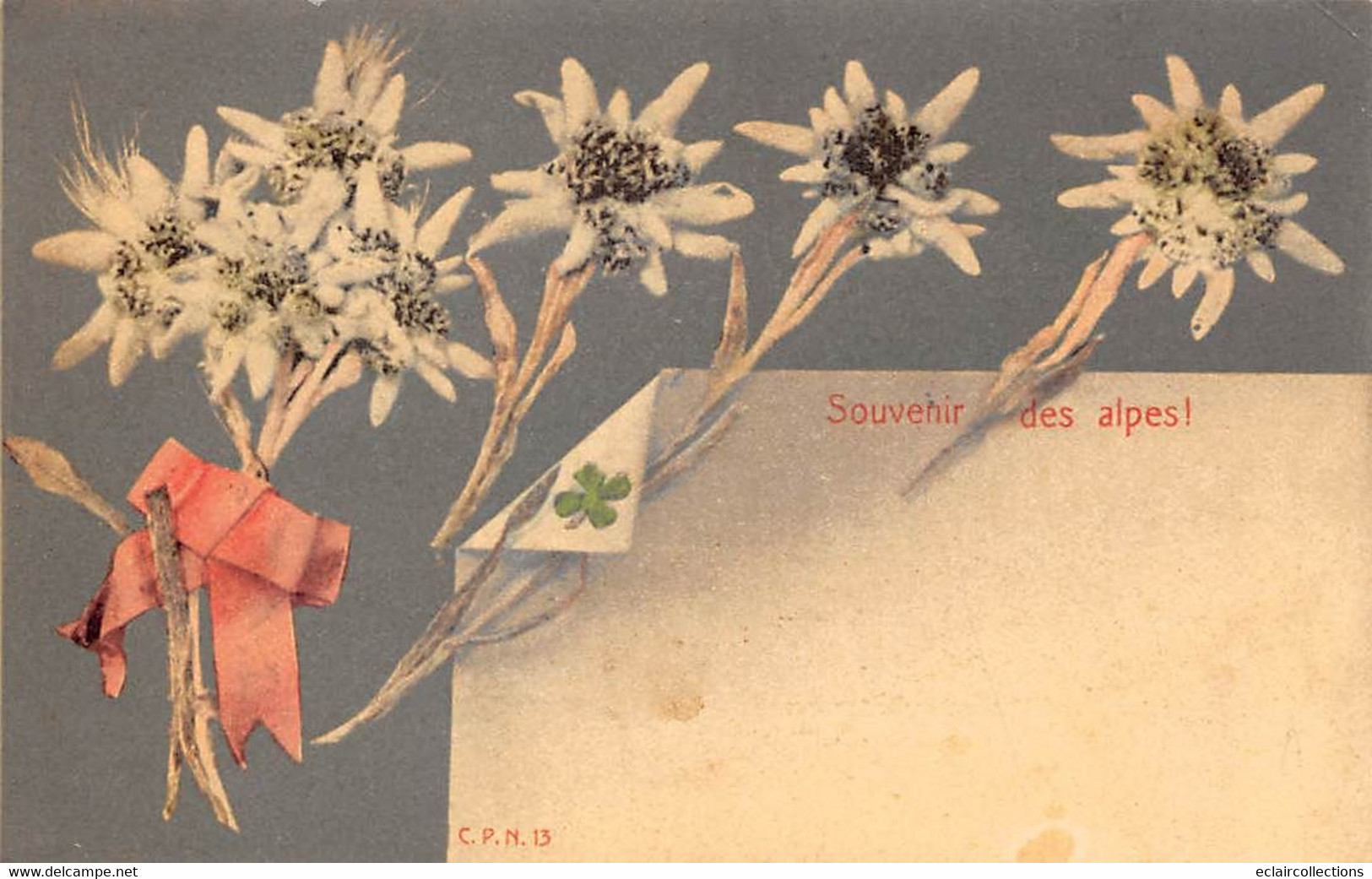 Chamonix         74       Souvenir Des Alpes. Fleurs Edelweiss       N° C P N 13         (voir Scan) - Chamonix-Mont-Blanc