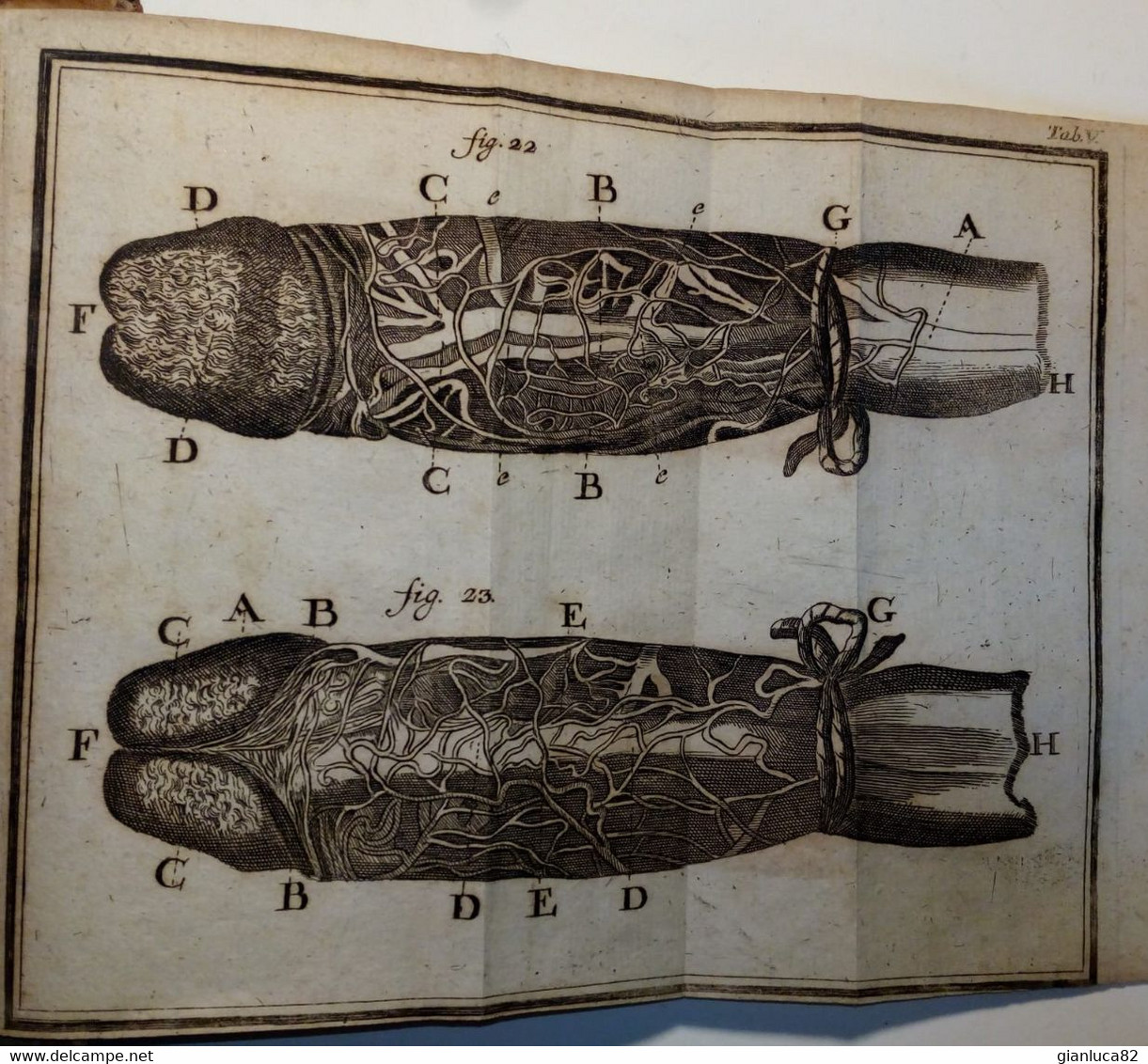 Libro Compendium Anatomicum D. Laurenti Heisteri Napoli 1761 (LG02) Come Da Foto Copertina In Pelle  Totam Rem Anatomica - Medecine, Biology, Chemistry