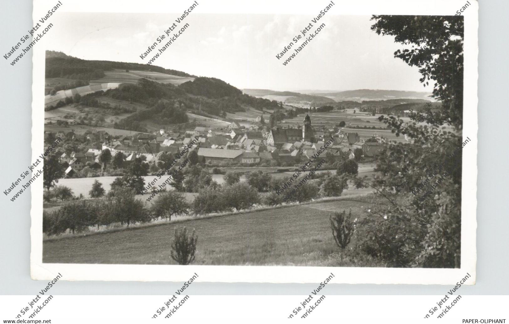 8628 WEISMAIN, Blick Ins Maintal, 1963 - Lichtenfels