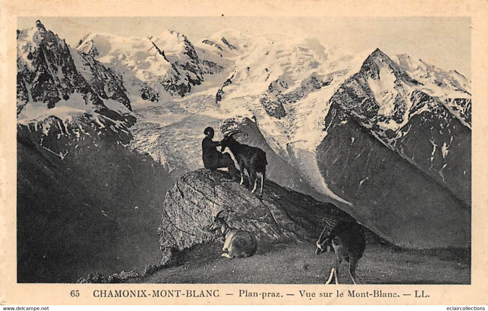 Chamonix         74         Plan Praz. Vue Sur Le Mont-Blanc. Chèvres Et âne          N°  65     (voir Scan) - Chamonix-Mont-Blanc