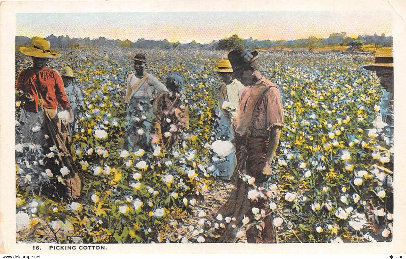 ETATS UNIS - PICKING COTTON - AGRICULTURE, RECOLTE DU COTON - Black Americana