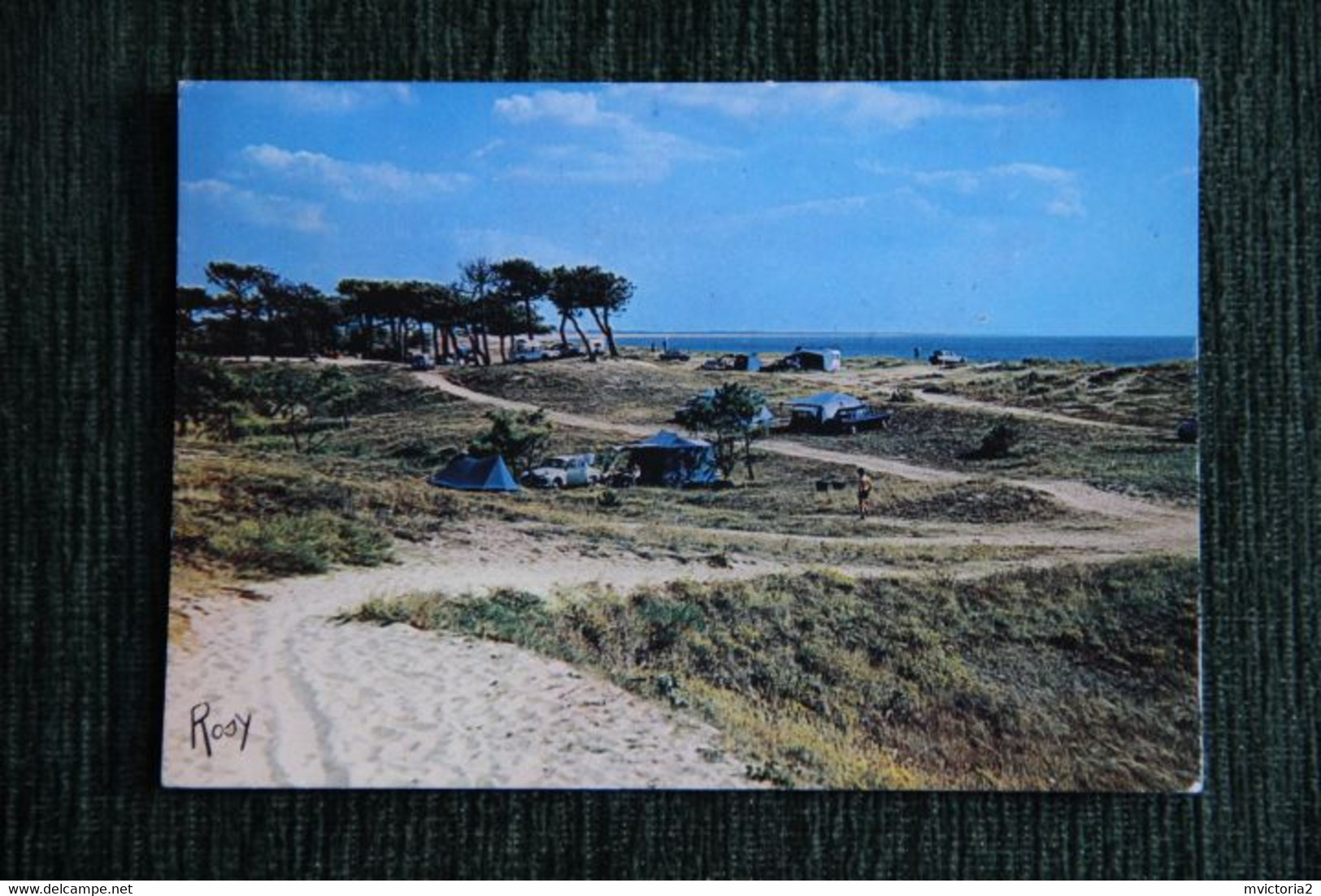 ILE DE NOIRMOUTIER  : La GUERINIERE, Sur La Dune. - Noirmoutier