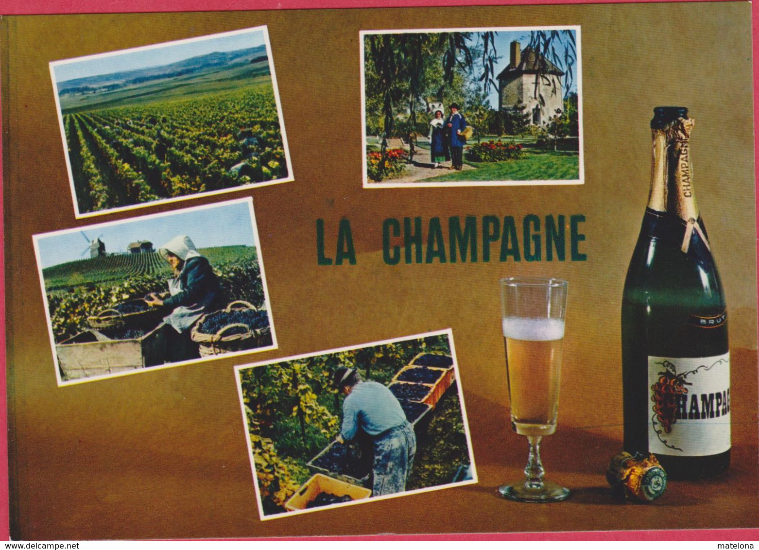 LA CHAMPAGNE - Champagne-Ardenne