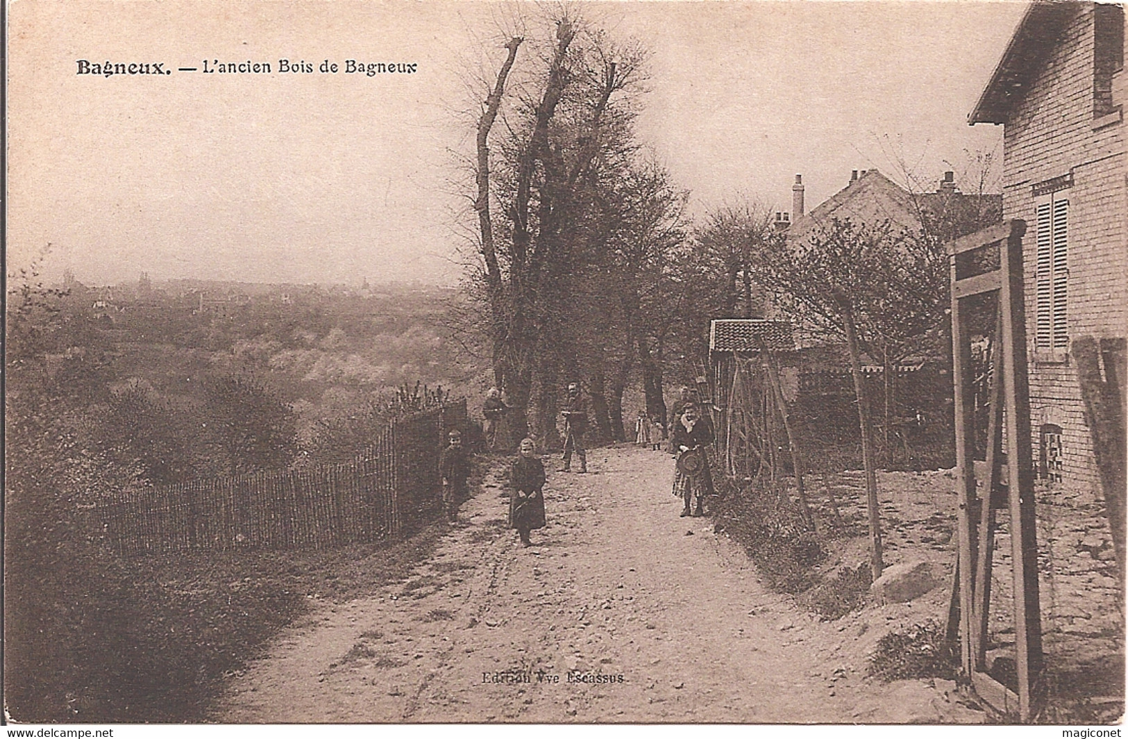 CPA - Bagneux - L'Ancien Bois De Bagneux - Bagneux