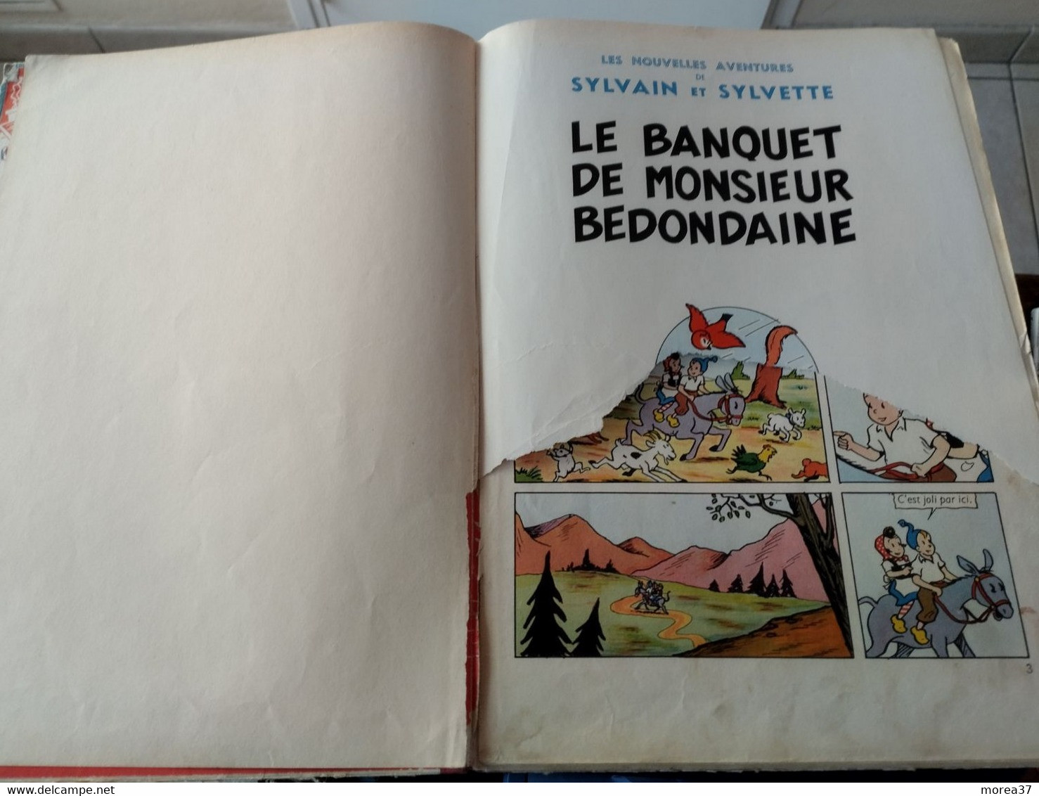 SYLVAIN et SYLVETTE   "Le banquet de Monsieur BEDONDAINE"  EO  Edition FLEURUS