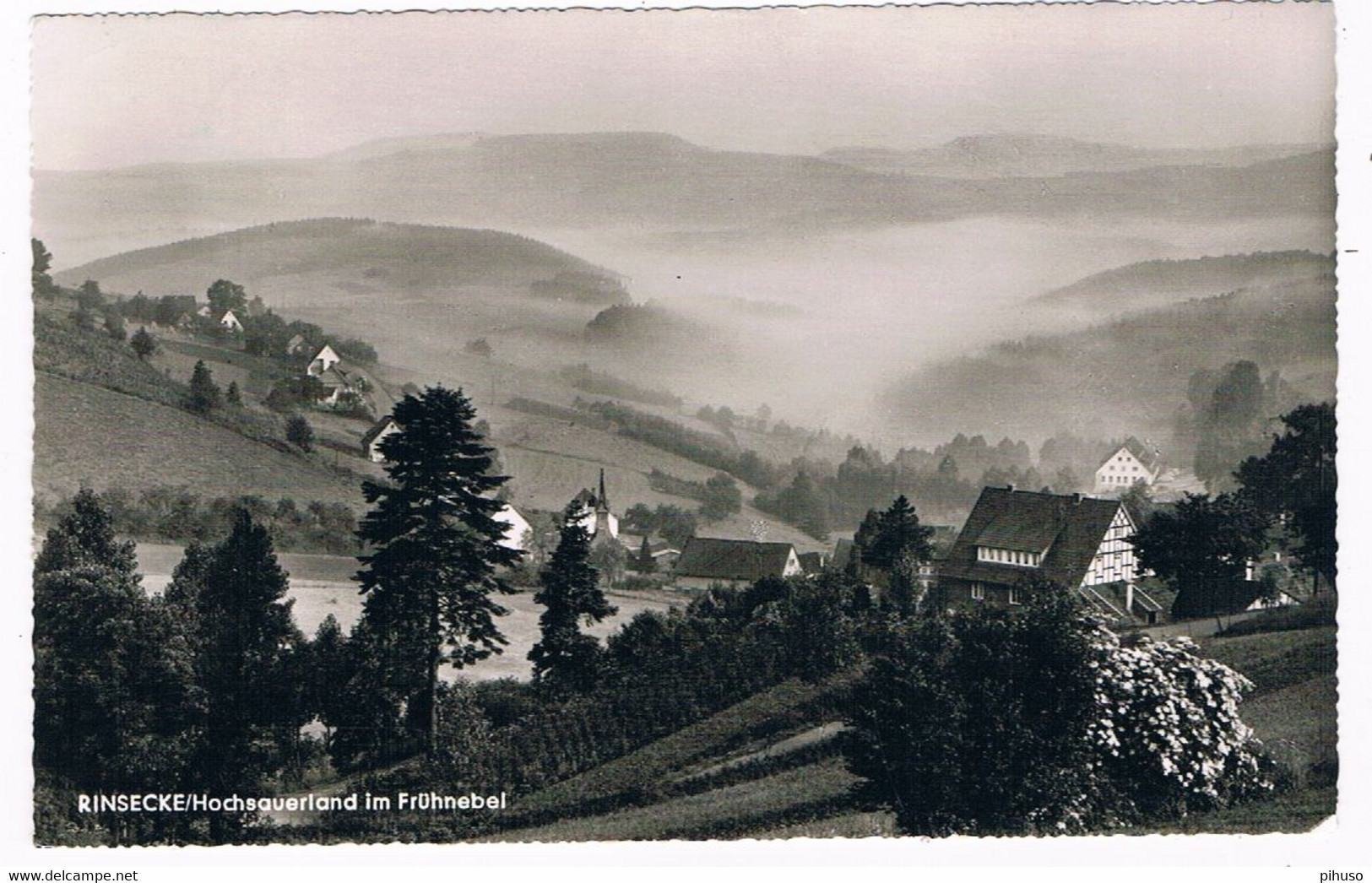 D-12314  RINSECKE / KIRCHHUNDEN : Im Frühnebel - Olpe