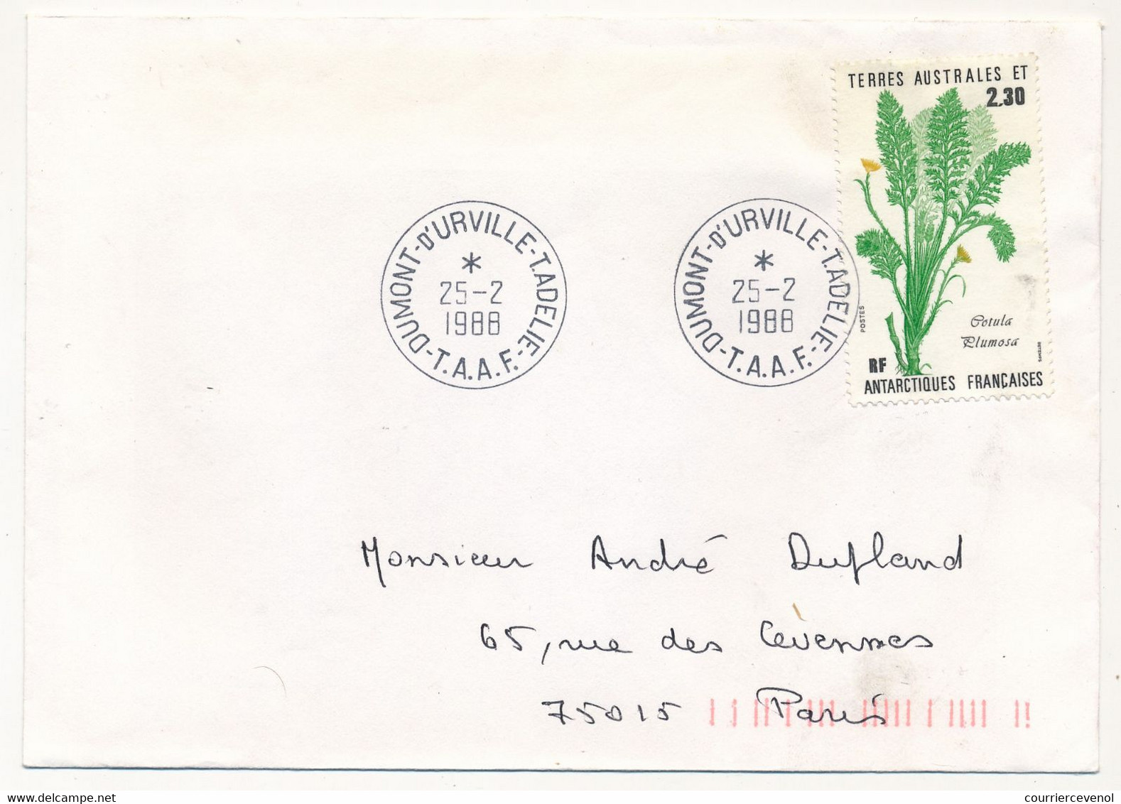 TAAF - Env. Aff 2,30 Cotula Plumosa - Obl Dumont D'Urville T. Adélie - T.A.A.F. - 25/02/1988 - Storia Postale