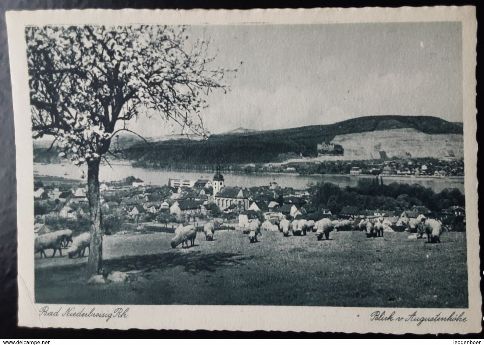 Duitsland - Bad Niederbreisig - Blick V. Augustenkirche - Bad Breisig