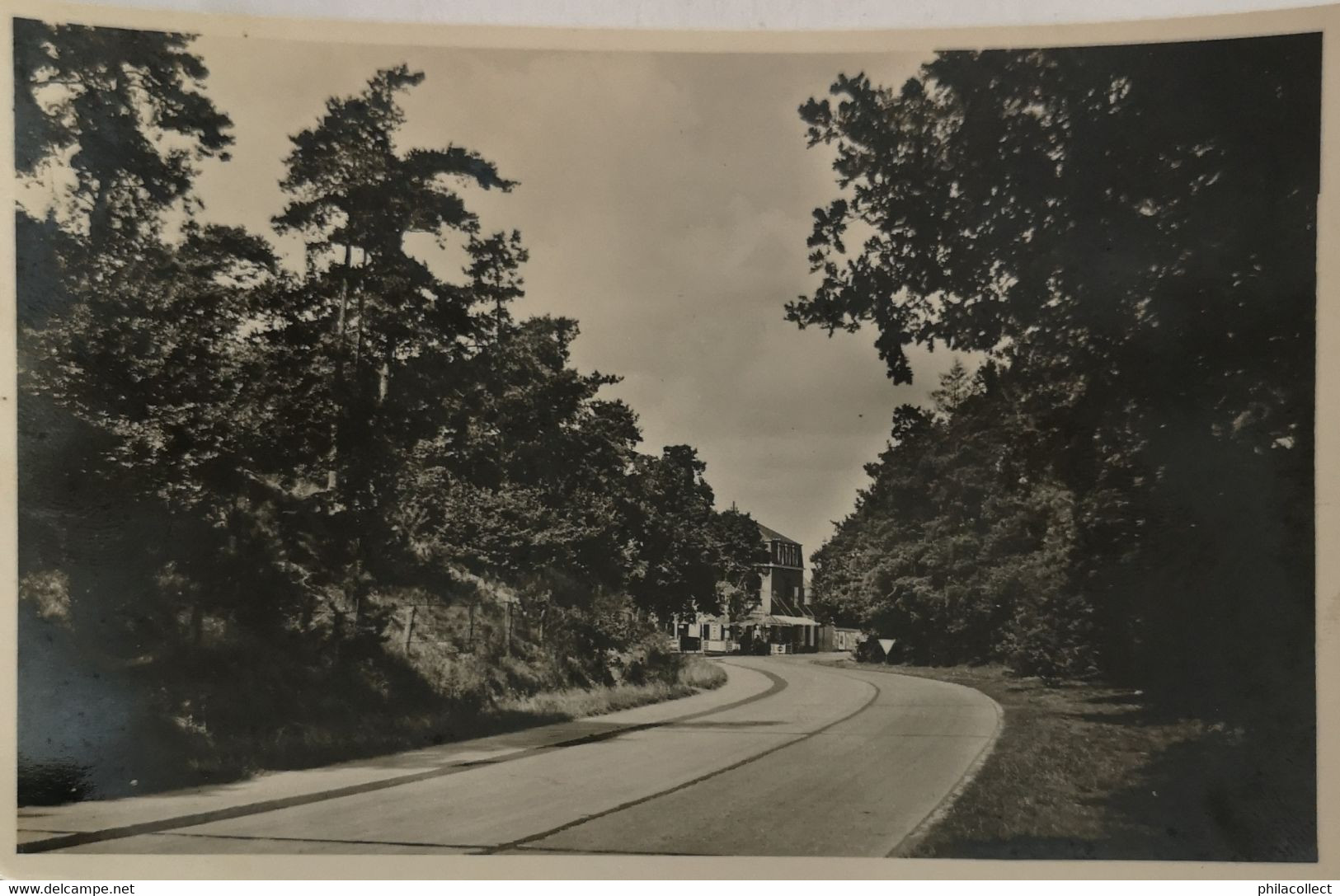 Bouwel (Grobbendonk) Steenweg Met Zicht Lindekens 19?? - Grobbendonk