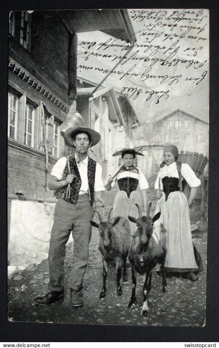 WILLISAU Bauernfamilie Mit Ziegen Gel. 1904 Nach Richenthal (Luzern) - Richenthal
