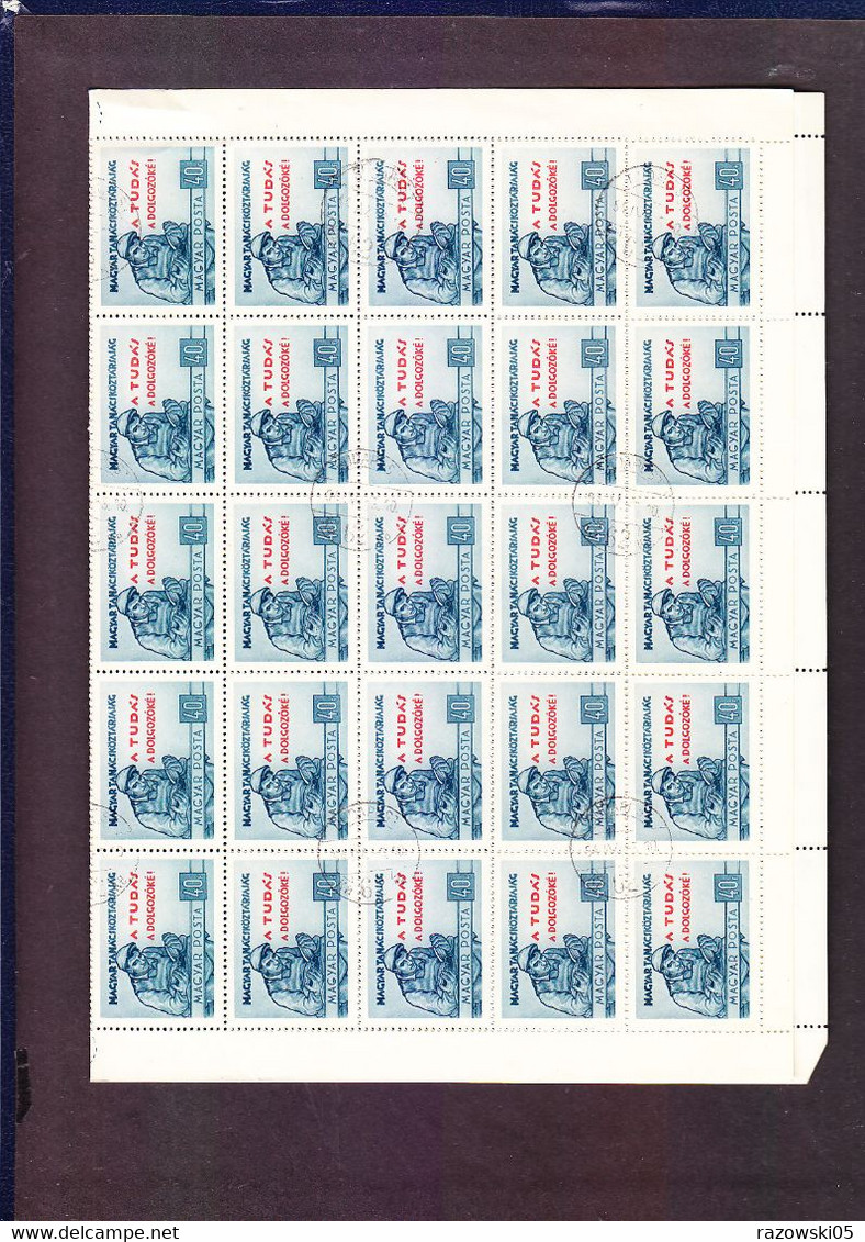 TIMBRE . . . . . . . . . .BLOC FEUILLE ENTIERE DE 50 TIMBRES 1919/1954 MAGYAR POSTA - Feuilles Complètes Et Multiples