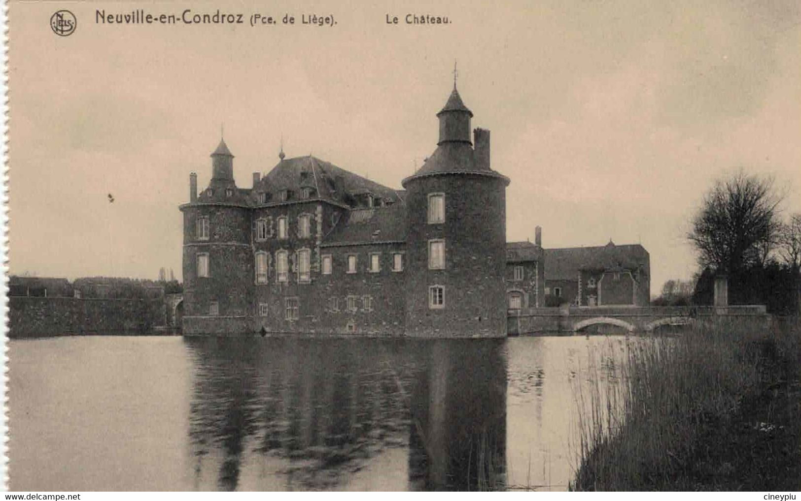 Neuville En Condroz - Le Château - Neupre