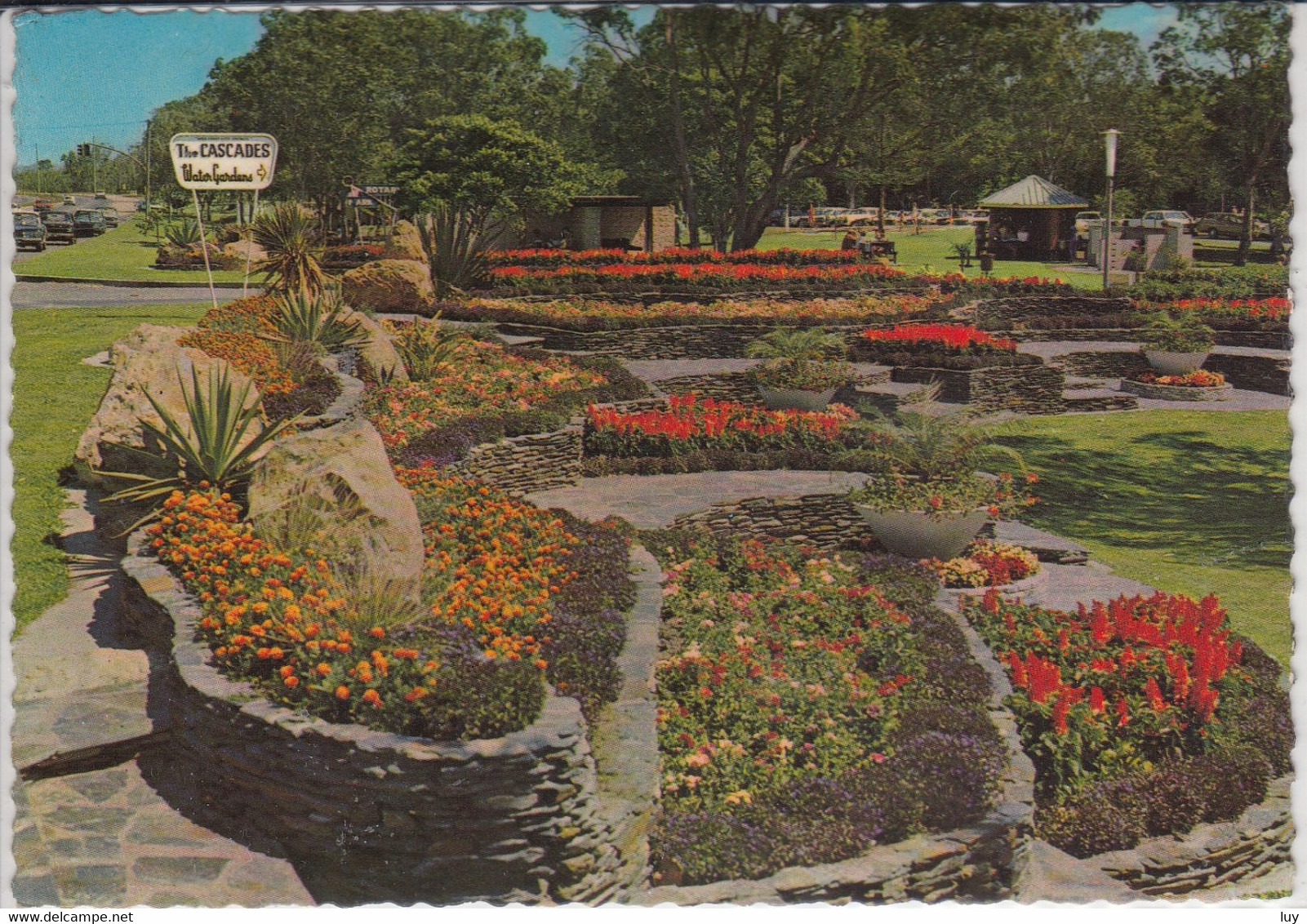 GOLD COAST; QUEENSLAND - CASCADES WATER GARDENS - Gold Coast