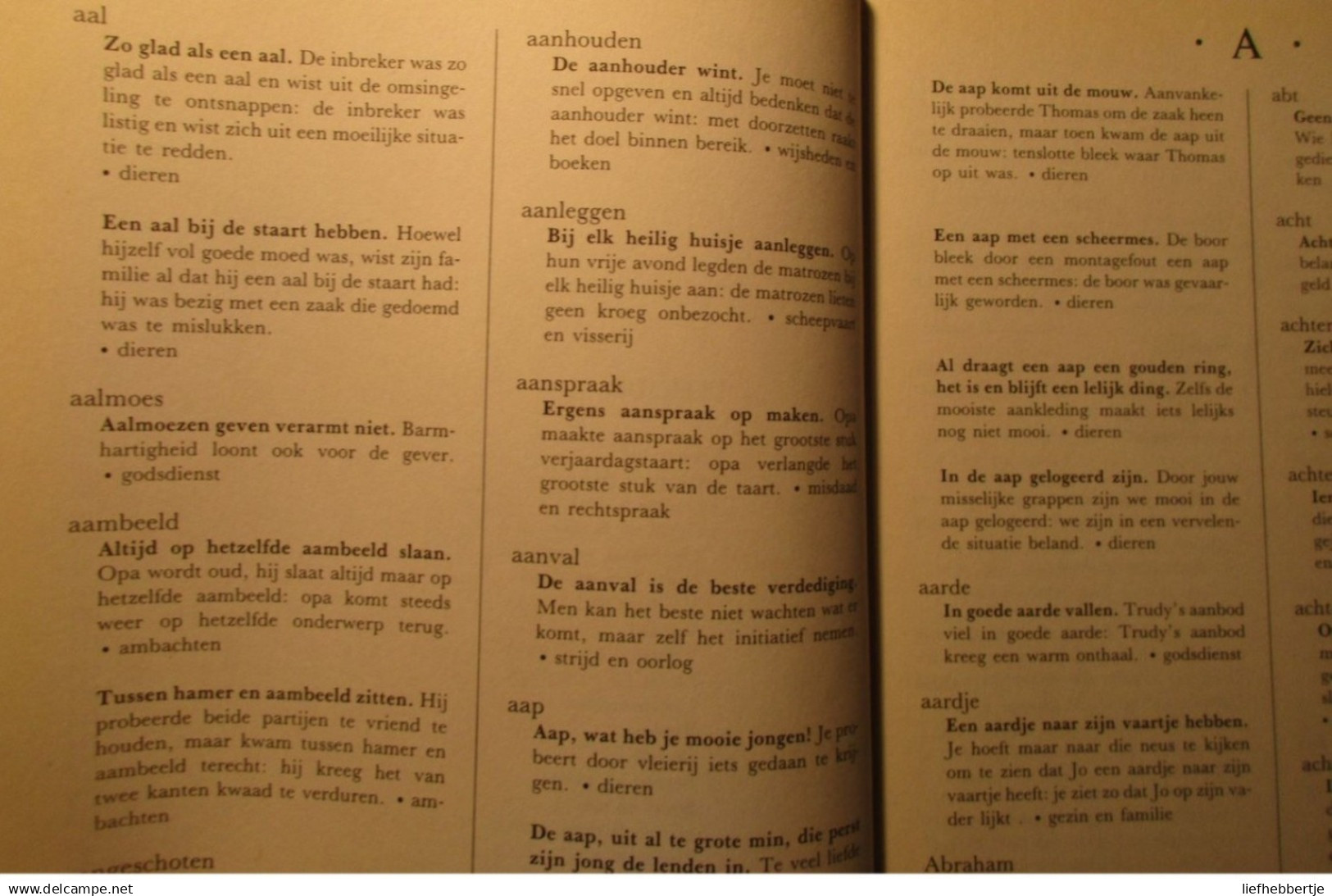 Groot Spreekwoordenboek - Herkomst, Betekenis En Gebruik Van Alle Bekende Spreekwoorden - Gezegden - 1997 - Dizionari