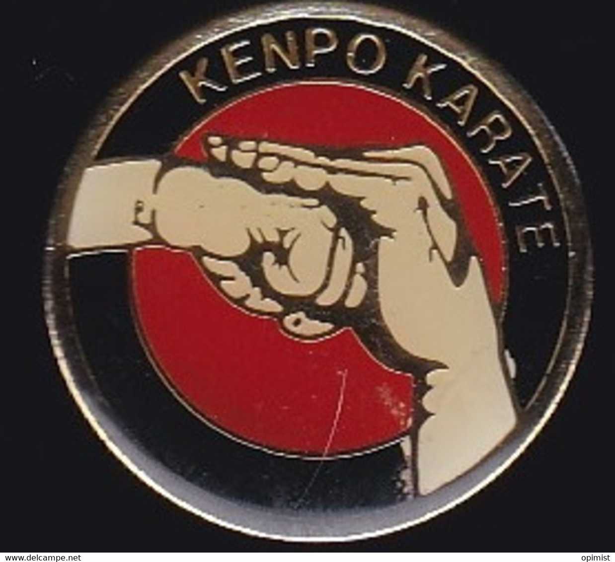 70120-Pin's.Karaté.Le Kenpō Fut également Surnommé Le Kung Fu Japonais - Judo