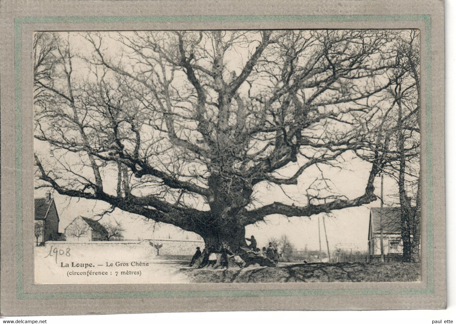 CPA - (28) La LOUPE - Thème: ARBRE - Aspect Du Gros Chêne En 1906 - La Loupe