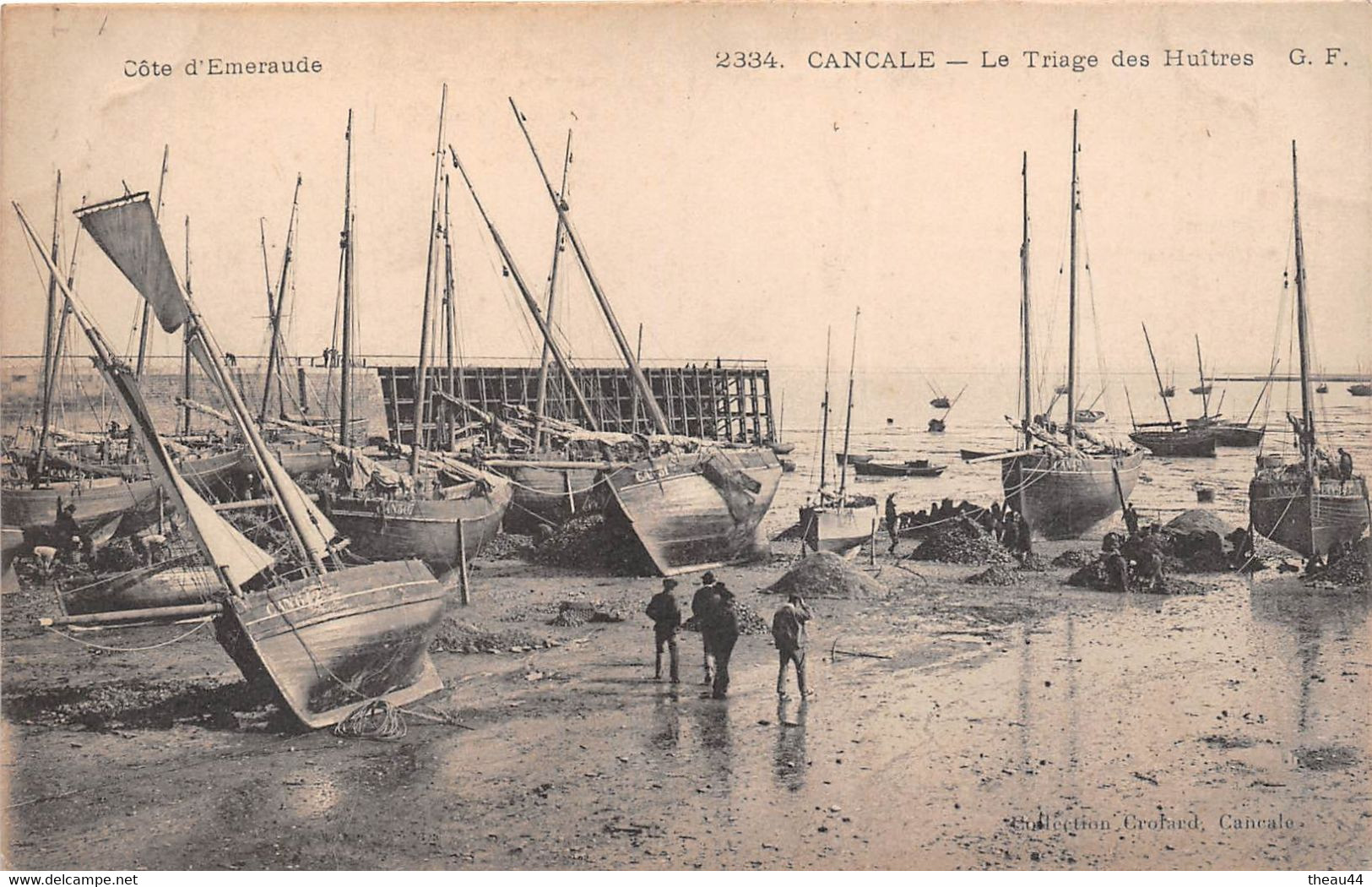 ¤¤  -  CANCALE  -  Le Triage Des Huitres    -  ¤¤ - Cancale