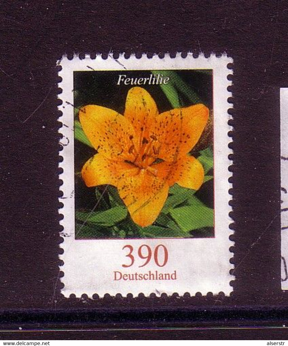 Blumen Feuerlilie - Used Stamps
