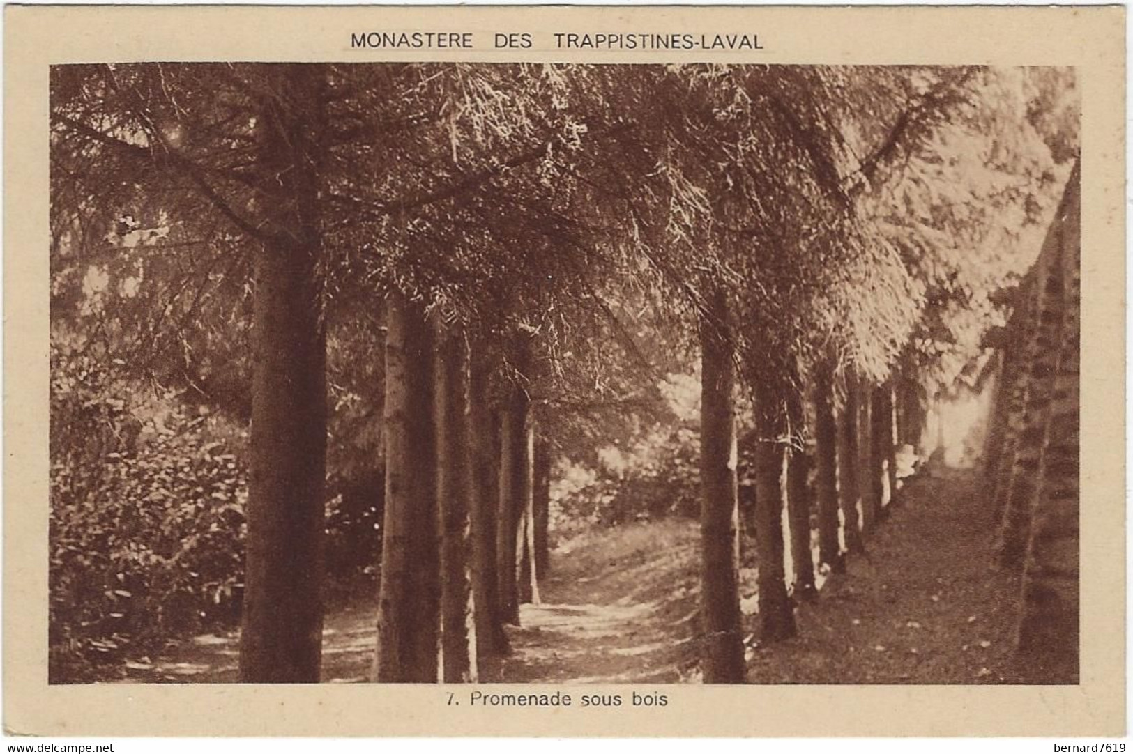 38   Laval  - Environs De Grenoble  - Monastere Des Trappistines - Laval   - Promenade Sous Bois - Laval