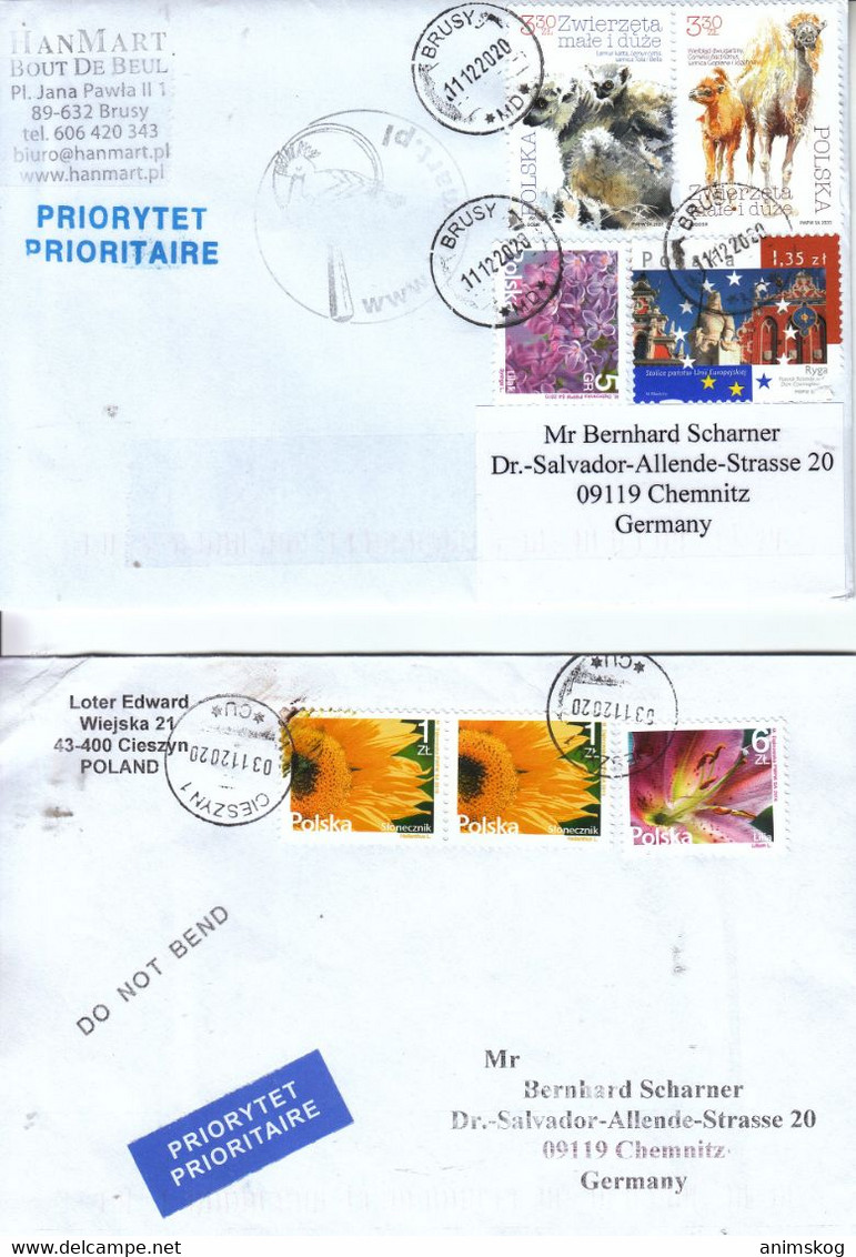 Polen, 2 Brief, Gelaufen / Poland, 2 Covers - Briefe U. Dokumente