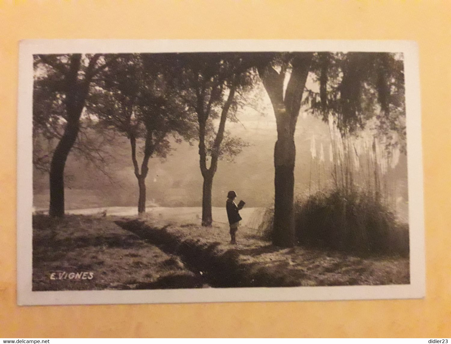 CASTETS LES LANDES LE PARC D'ADOU  PHOTOGRAPNE E.VIGNES - Castets