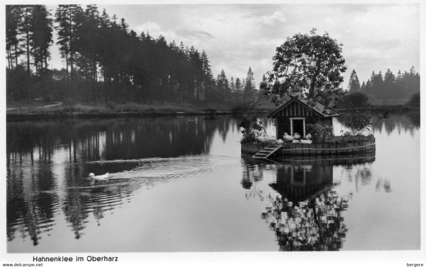 Allemagne - CPSM - Hahneklee Im OBERHARZ -  1953 - Scan Du Verso  - - Oberharz