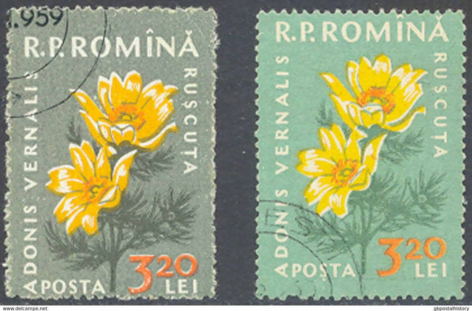 RUMÄNIEN 1959 Einheimische Flora Adonisröschen 3,20 L Gest. ABART FEHLENDE FARBE - Variedades Y Curiosidades