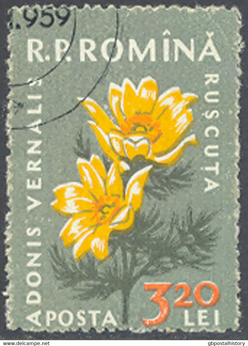 RUMÄNIEN 1959 Einheimische Flora Adonisröschen 3,20 L Gest. ABART FEHLENDE FARBE - Abarten Und Kuriositäten