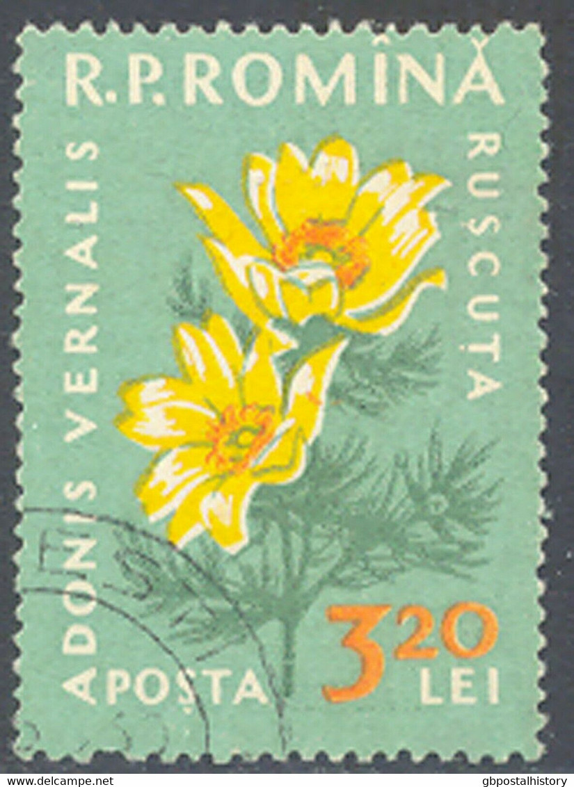 RUMÄNIEN 1959 Einheimische Flora Adonisröschen 3,20 L Gest. ABART FEHLENDE FARBE - Abarten Und Kuriositäten