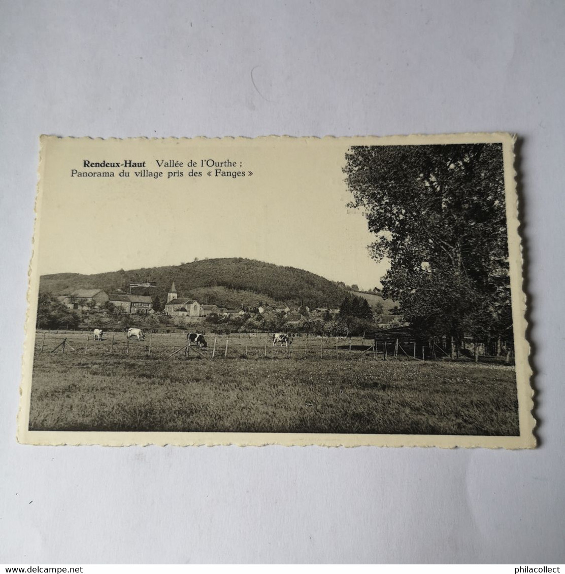 Rendeux - Haut // Panorama Du Village Pris Des Fanges 1953 - Rendeux