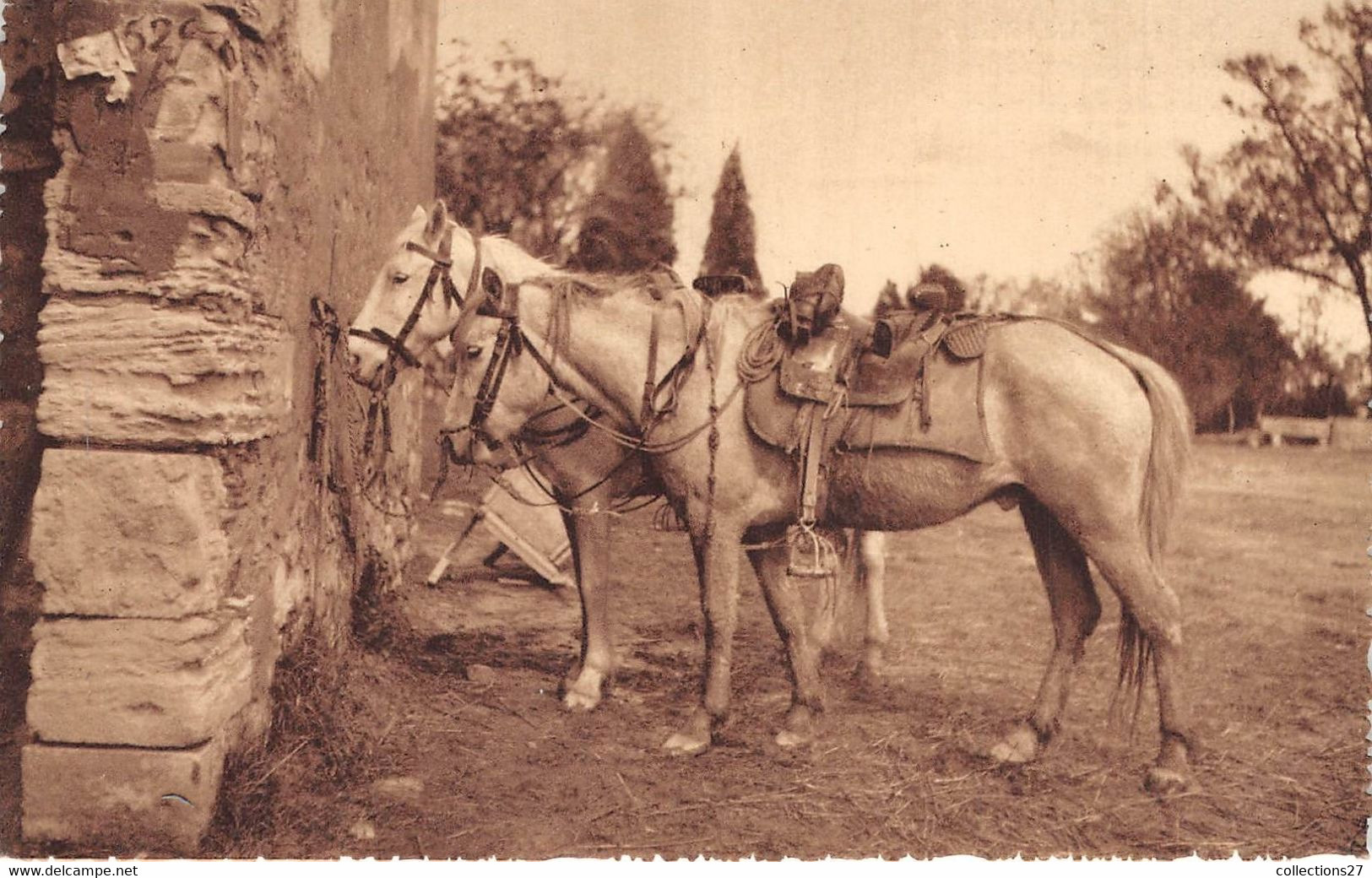 13-CAMARGUE- MAS DE SAINT-CESAIRE, CHEVAUX DE GARDIANS - Saintes Maries De La Mer