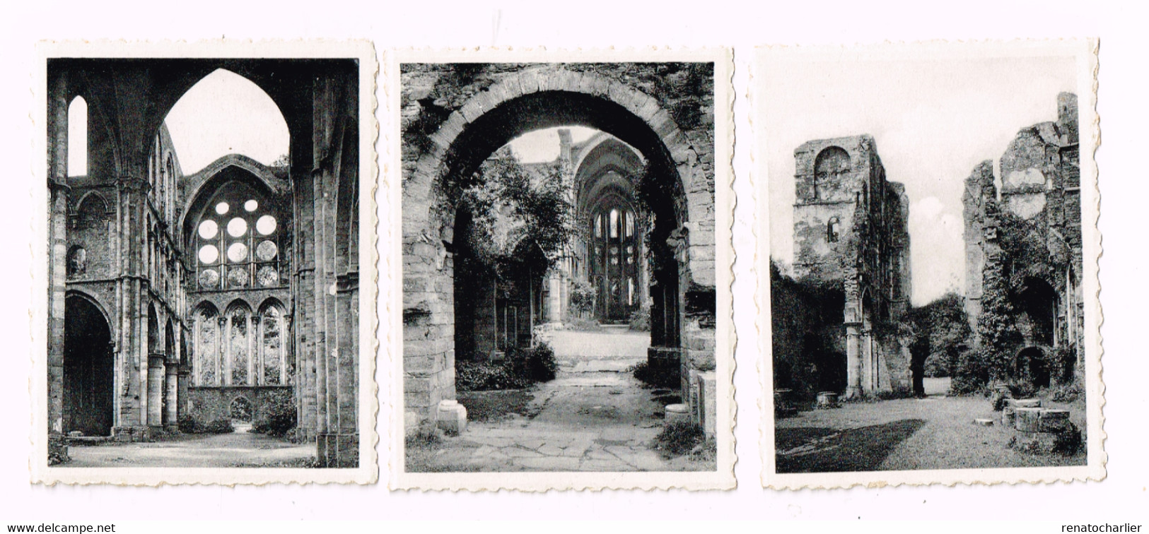 Snapshots.Abbaye De Villers,série 2.10 Photos .format 7 X 9 Centimètres. - Villers-la-Ville